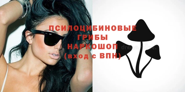 дмт Верхний Тагил