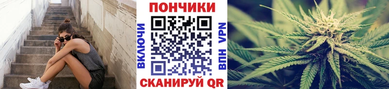 Купить закладки  Тында  Бошки Шишки Ganja 